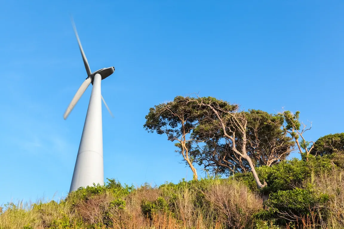 Wind turbine in rural NSW landscape, symbolising medium-voltage electrical infrastructure supplied by cable clamp and fuse link specialists.